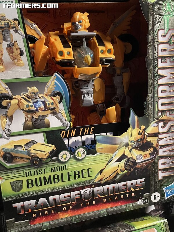 Transformers Rise Of The Beasts Preview Unboxing Images  (10 of 23)